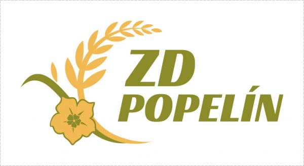 ZD Popelín